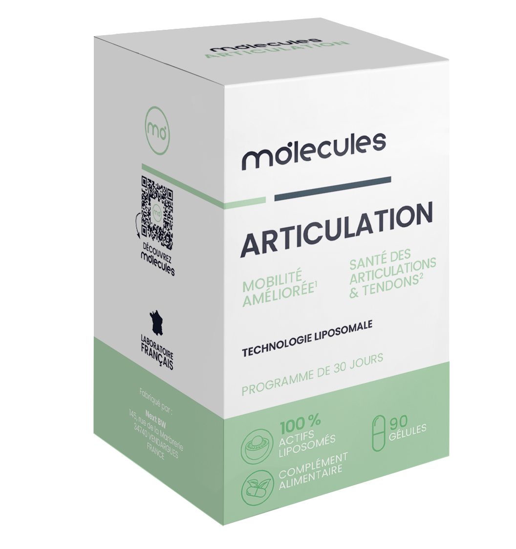 ARTICULATION